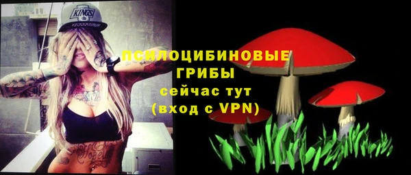 спайс Касимов