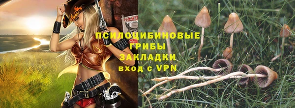 первитин Карпинск