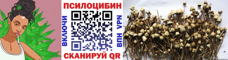 Псилоцибиновые грибы прущие грибы  Купить где  Белоярский 